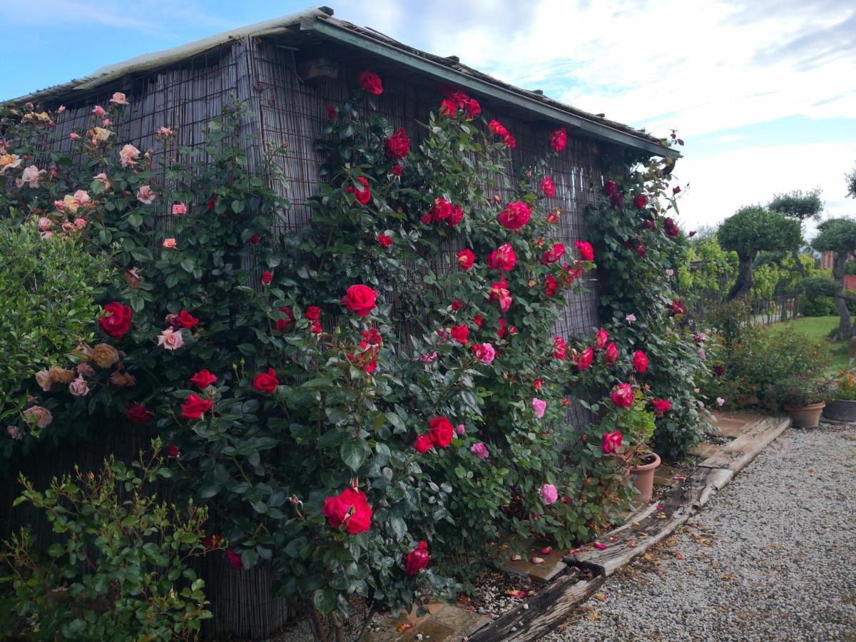 Agriturismo I Colli Montaione Exteriör bild